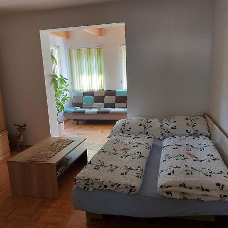 Grimmingapartment Maier Stainach Ngoại thất bức ảnh
